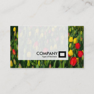 Tarjeta De Visita Panel - Tulipanes
