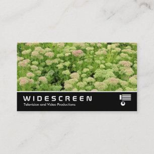 Tarjeta De Visita Pantalla ancha 0424 - Sedum (Alegría de otoño)