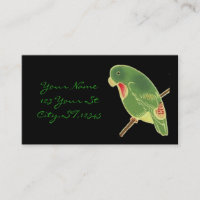 Parakeet verde tropical Thunder_Cove