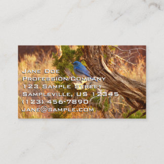 Tarjeta De Visita Parque nacional de Arches