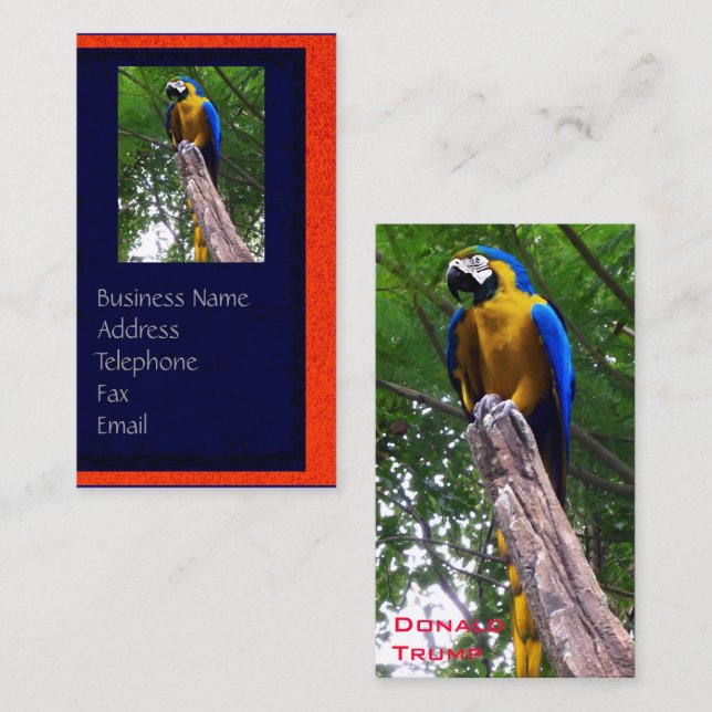 Tarjeta de visita Parrot Pose ~ (Anverso / Reverso)