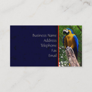 Tarjeta de visita Parrot Pose ~