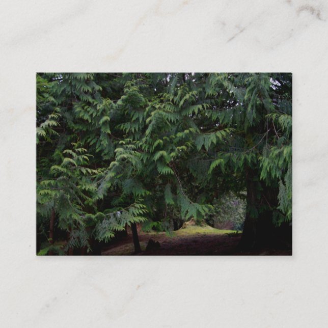 Tarjeta De Visita Paseo del bosque (Anverso)