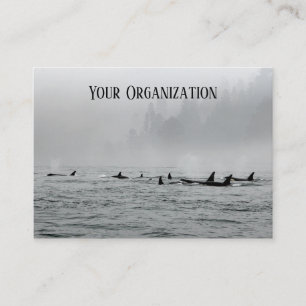 Tarjeta De Visita Paso de ballenas