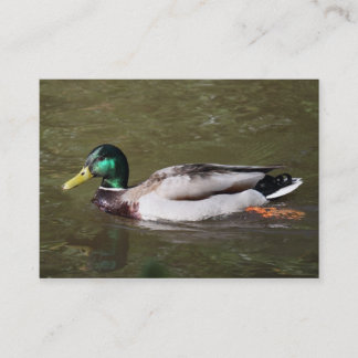 Tarjeta De Visita Pato de collar o ánade real
