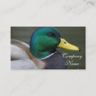 Tarjeta De Visita Pato del pato silvestre