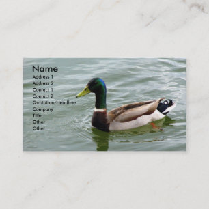 Tarjeta De Visita Pato hermoso del pato silvestre