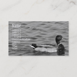Tarjeta De Visita Pato hermoso del pato silvestre