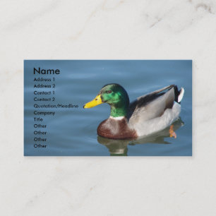 Tarjeta De Visita Pato Mallard En Agua Azul