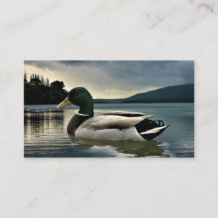 Tarjeta De Visita Pato Mallard En El Lago