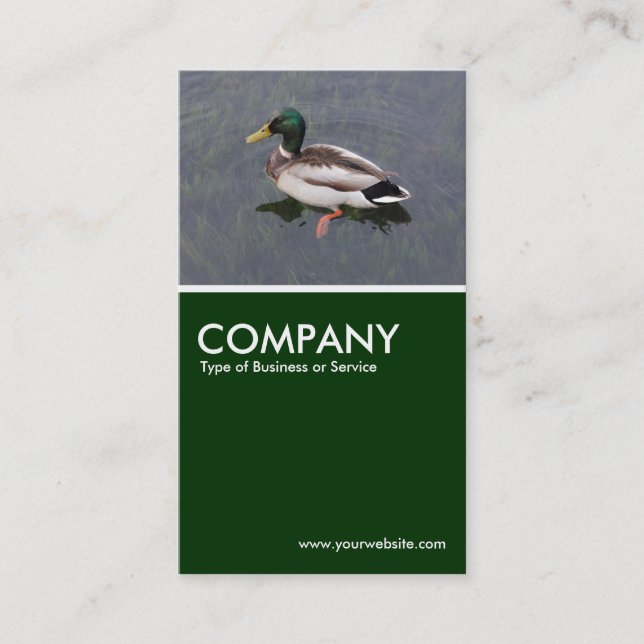 Tarjeta De Visita Pato Mallard - Verde oscuro (Anverso)