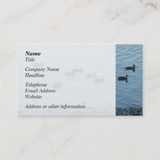 Tarjeta De Visita Patos