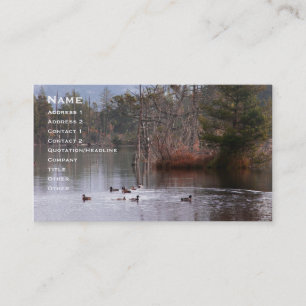 Tarjeta De Visita Patos en el lago empire