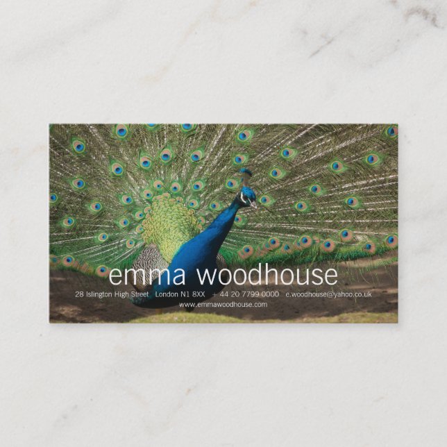 Tarjeta De Visita Pavo real (Anverso)