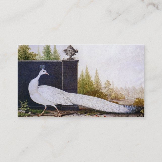 Tarjeta De Visita Peacock blanco (Anverso)