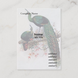Tarjeta De Visita Peacock, Green Peafowl, Pavo muticus, monograp de