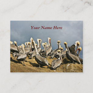 Tarjeta De Visita Pelícanos de reclinación