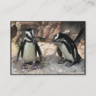 Tarjeta De Visita Penguins ATC