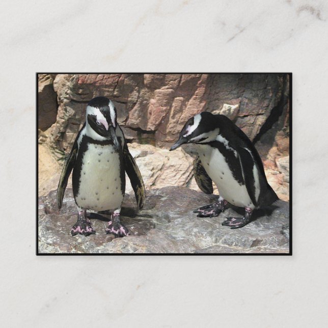 Tarjeta De Visita Penguins ATC (Anverso)