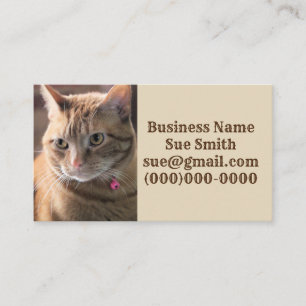 Tarjeta De Visita Penny Penny