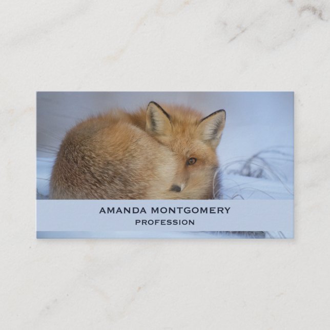 Tarjeta De Visita Pequeño Fox Maldita Foto De Invierno (Anverso)
