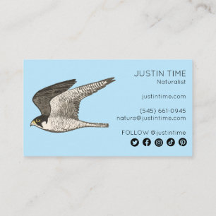 Tarjeta De Visita Peregrine Falcon Naturalist Guide Birting