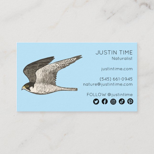 Tarjeta De Visita Peregrine Falcon Naturalist Guide Birting (Reverso)