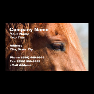 Tarjeta De Visita Perfil del caballo