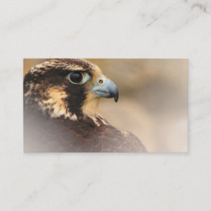 Tarjeta De Visita Perfil visto de un halcón peregrino