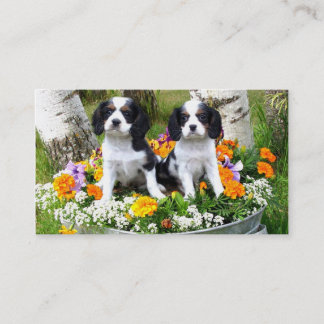 Tarjeta De Visita Perritos del perro de aguas de rey Charles