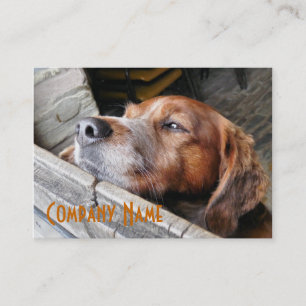 TARJETA DE VISITA PERRO