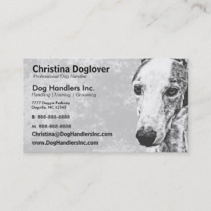 Tarjeta De Visita Perro adorable de Whippet