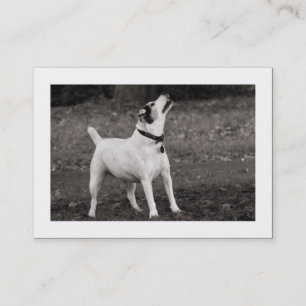 Tarjeta De Visita Perro Agog (Bordeado)