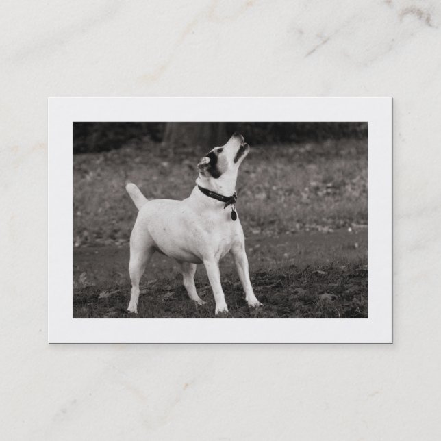 Tarjeta De Visita Perro Agog (Bordeado) (Anverso)