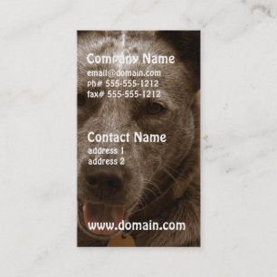 Tarjeta De Visita Perro australiano dulce del ganado