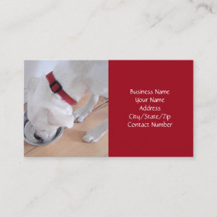 Tarjeta De Visita Perro blanco lindo beber agua Navidades rojos