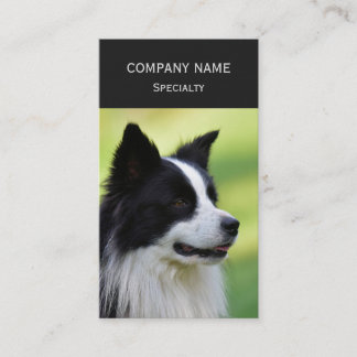 Tarjeta De Visita Perro Border Collie negro y blanco