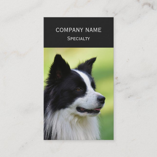 Tarjeta De Visita Perro Border Collie negro y blanco (Anverso)