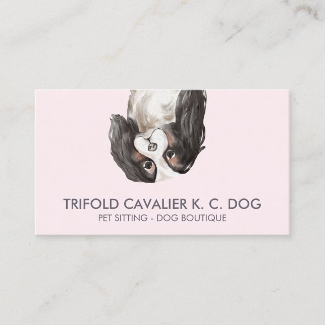 Tarjeta De Visita Perro cavalier king charles trifold (Anverso)