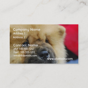 Tarjeta De Visita Perro chino de perro chino dulce