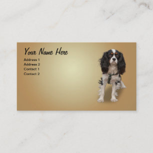 TARJETA DE VISITA PERRO DE AGUAS
