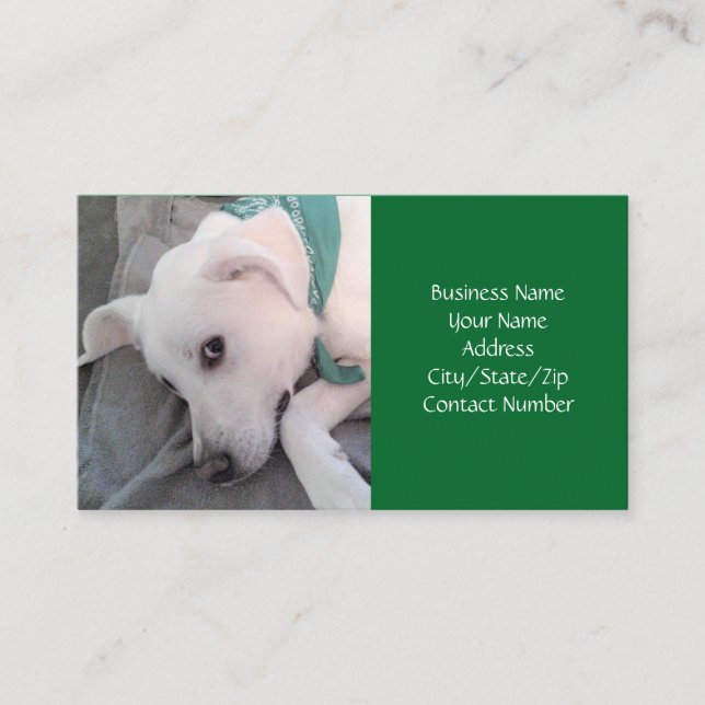 Tarjeta De Visita Perro de cachorro blanco lindo con un negocio de b (Anverso)