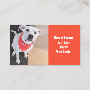 Tarjeta De Visita Perro de cachorro blanco lindo vestido con Naranja