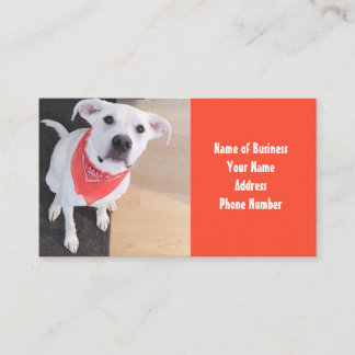 Tarjeta De Visita Perro de cachorro blanco lindo vestido con Naranja