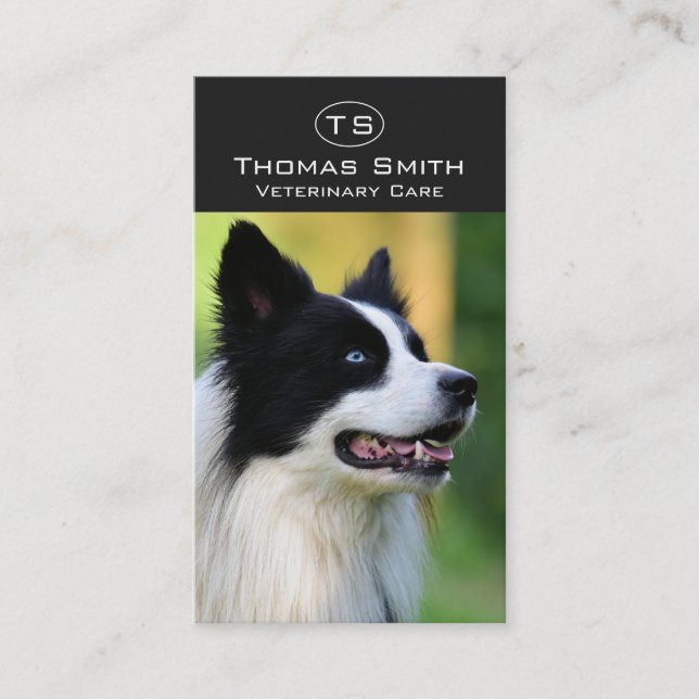 Tarjeta De Visita Perro de color negro y blanco (Anverso)