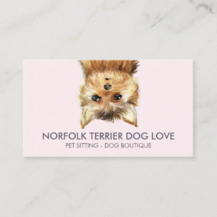 Tarjeta De Visita Perro de Norfolk Terrier