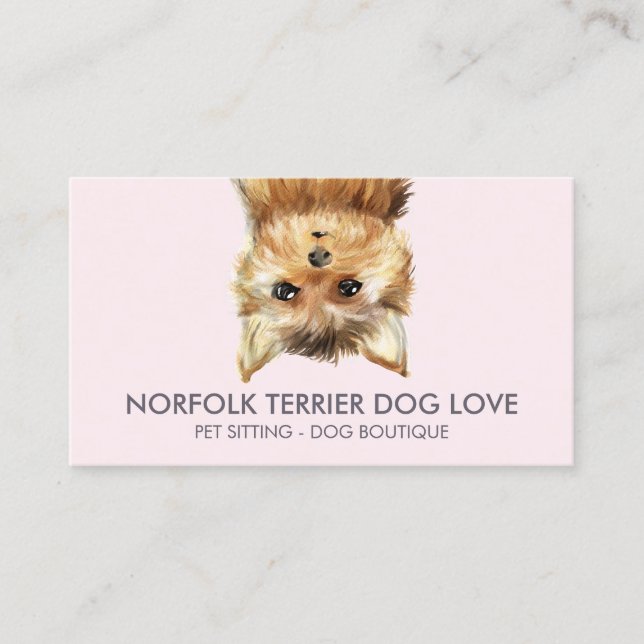 Tarjeta De Visita Perro de Norfolk Terrier (Anverso)