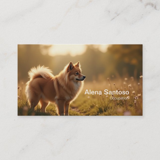 Tarjeta De Visita Perro de Pomerania (Anverso)