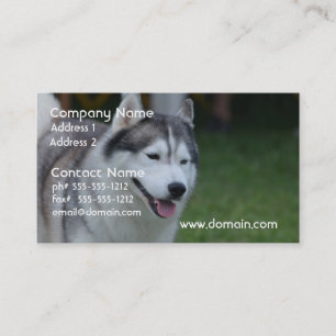 Tarjeta De Visita Perro esquimal dulce