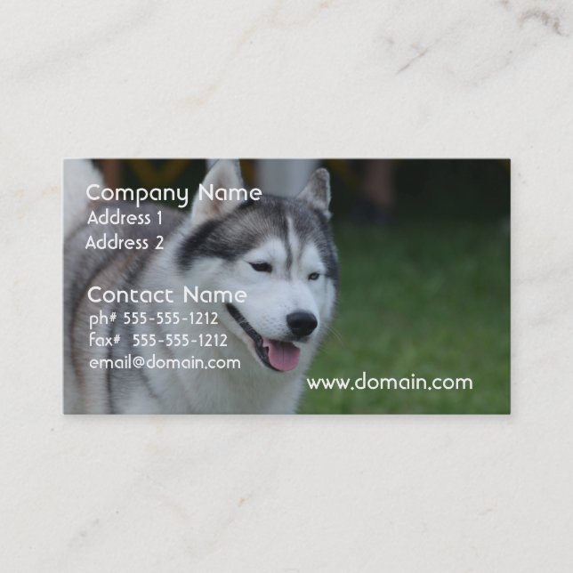Tarjeta De Visita Perro esquimal dulce (Anverso)